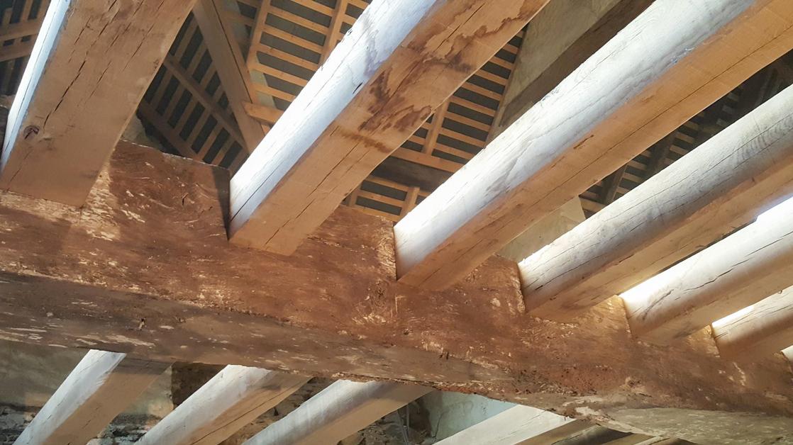 Détail de la charpente en bois
